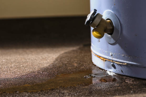 Best Residential water damage restoration  in Muscoda, WI