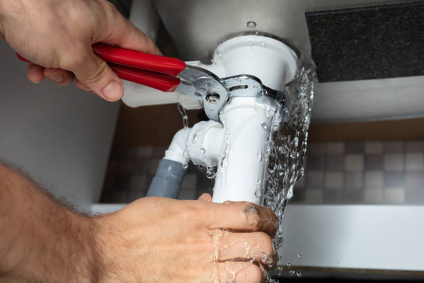 Best Carpet water damage restoration  in Muscoda, WI