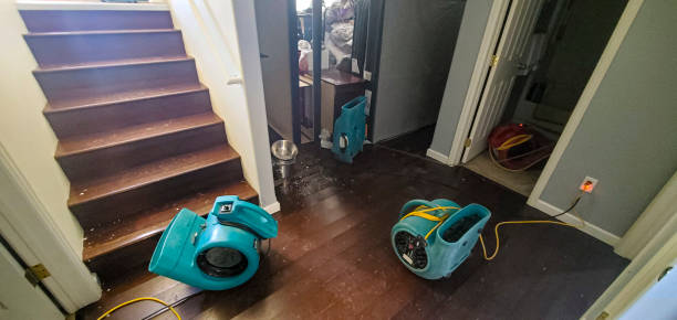 Best Water damage cleanup near me  in Muscoda, WI