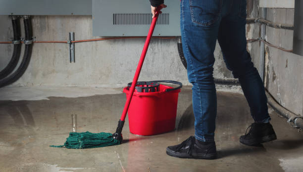 Best Water damage restoration company  in Muscoda, WI