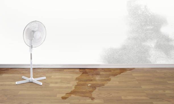 Best Water damage contractors near me  in Muscoda, WI