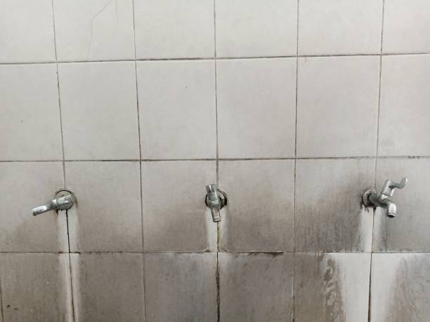 Best Professional water damage repair  in Muscoda, WI