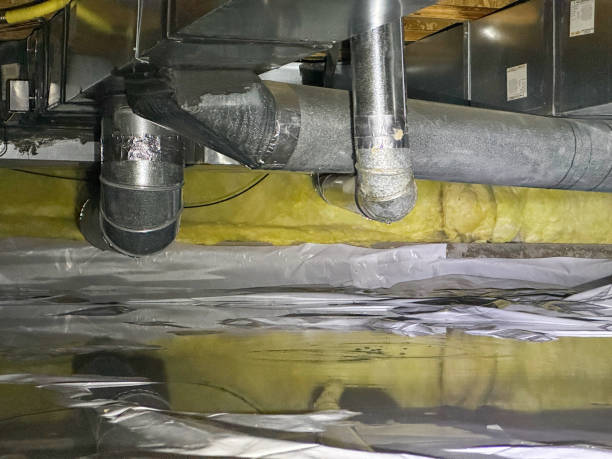 Best Water damage restoration cost  in Muscoda, WI