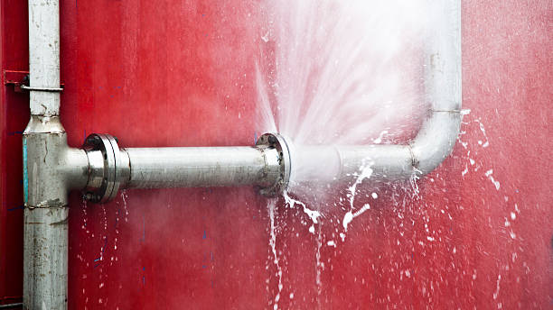 Best Basement water damage restoration  in Muscoda, WI